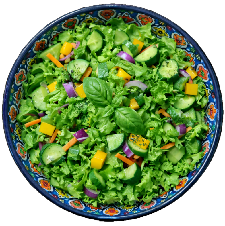 Garden Salad 